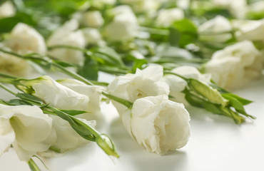 Obraz na płótnie Canvas Beautiful eustoma flowers on white background