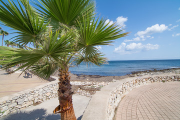 Cala Millor © fotos-Rafał