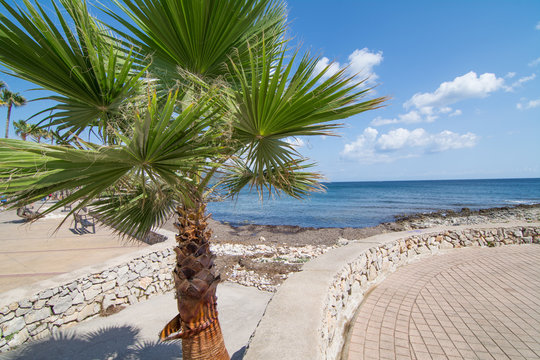 Cala Millor