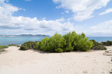 plaża Cala Millor
