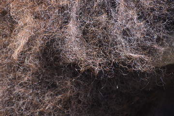 Close up of bison body parts