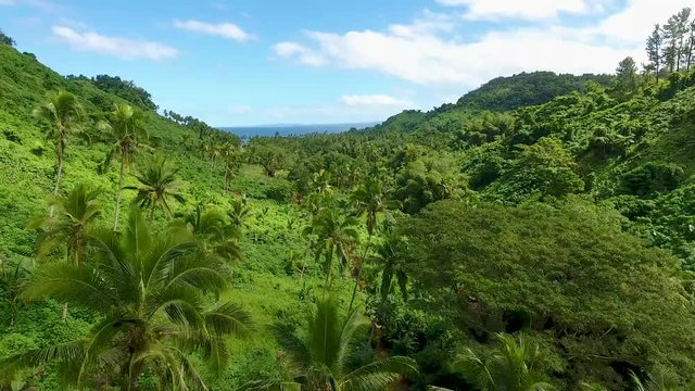 Aerial - Fiji Jungle Waterfall Hike