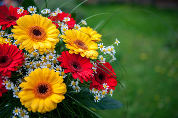 Wunderschöner Blumenstrauß  © Thomas