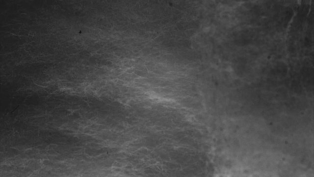 Microscopic fluff fast movement. Abstract background with room for text - short loopable clip.
