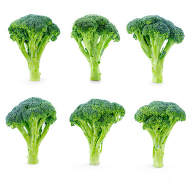 Fresh broccoli set isolated on white background