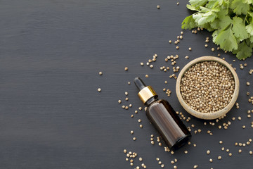 Coriander Seeds Fresh Leaves Essential Oil Medical Herb Health Beauty Treatment Spa Phytotherapy Aromatherapy Alternative Medicine Copy Space Flat Lay Top Vew Black Background Cosmetic Ingredient