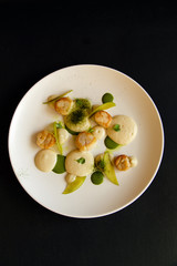 seared scallops