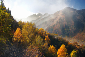 mountain autumn landscape with smoke and fog in the mountains and yellowed beautiful trees