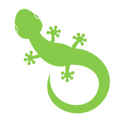 Green lizard silhouette