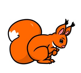 Squirrel orange animal cartoon illustration isolated image 
