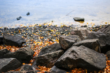 Autumn landscape