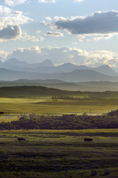 landscape of foothills and the mountains