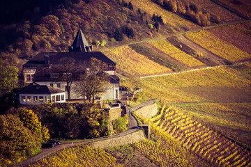 Marienburg an der Mosel