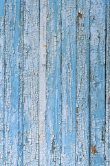 Fototapeta na wymiar An old wooden surface of blue and white, cracked and weathered paint, background