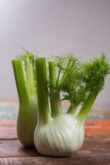 Fresh raw organic Florence fennel bulbs, close up