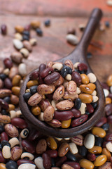 Variety of protein rich colorful raw dried beans
