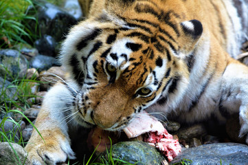Lunch time - got to love lunch time