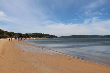 Pittwater Palm beach in the north of Sydney on the Tasman Sea, Australia 