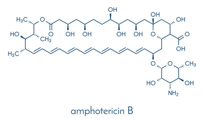 Amphotericin B antifungal drug molecule. Skeletal formula.