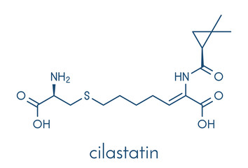Cilastatin molecule. Dehydropeptidase inhibitor that blocks breakdown of the antibiotic imipenem. Skeletal formula.