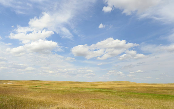 Grasslands of the Great Plains, South Dakota