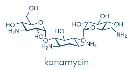 Kanamycin antibiotic drug molecule (aminoglycoside). Skeletal formula.