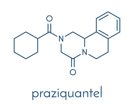 Praziquantel anthelmintic drug molecule. Used to treat tapeworm infections. Skeletal formula.