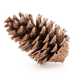 Naklejka na ściany i meble Christmas pine cone on white background.
