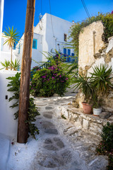 Streetview of Mykonos with white houses with blue windows.