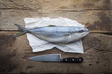 Fish tuna on wooden background