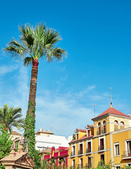 Fototapeta premium Street view of Sevilla