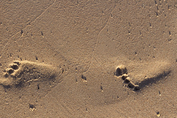 Footprint in the sand at beach near ocean