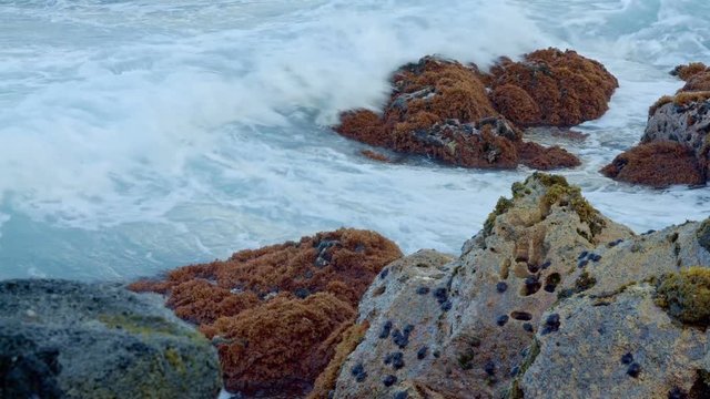 Dawn Waves Crashing Lava Seaweed Kauai Hawaii