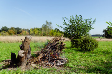 Ognisko, wypalanie gałęzi drzew na polu.