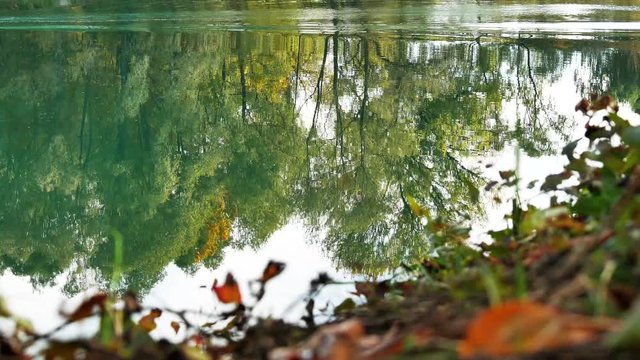 reflected on the river