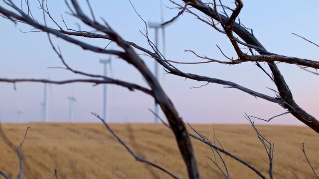 Desert field renewable green energy 4 Windmills Oregon 04
