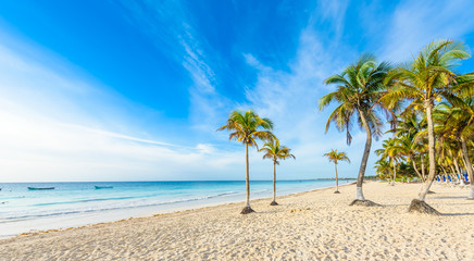 Fototapeta na wymiar Paradise Beach also called Playa Paraiso at Tulum - sunrise at beautiful and tropical caribbean coast of Tulum in Quintana Roo, Riviera Maya, Mexico