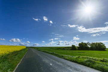 Empty country asphalt road passing through green and flowering agricultural fields. Countryside landscape on a sunny spring day in Normandy, France