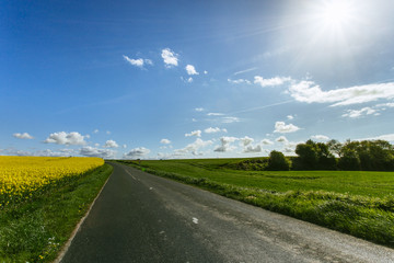 Empty country asphalt road passing through green and flowering agricultural fields. Countryside landscape on a sunny spring day in Normandy, France