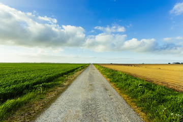 Empty asphalt country road passing through green and flowering agricultural fields. Countryside landscape on a sunny spring day in France. Environment friendly farming, industrial agriculture concept