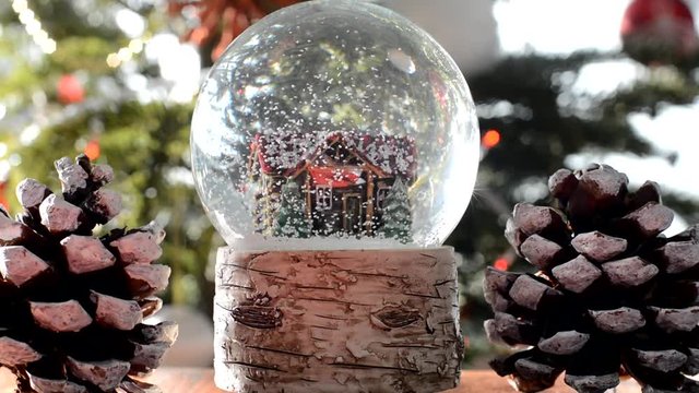 snow globe on a christmas tree background