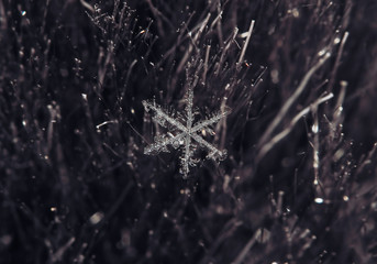 Snowflake beautifull on the grey background