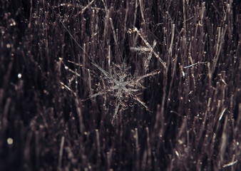 Snowflake beautifull on the grey background