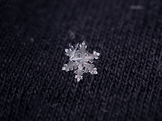 Snowflake beautifull on the grey background