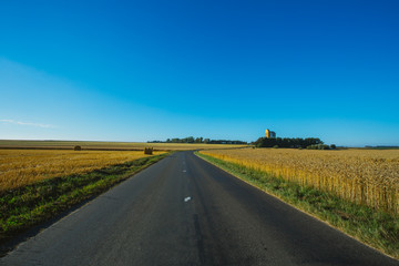 Fototapeta na wymiar Empty asphalt country road passing through yellow wheat field. Country landscape on a sunny summer day in France. Environment friendly farming and agriculture, harvest season, transportation concept.