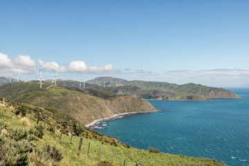 Fototapeta na wymiar New Zealand Cliffs With Wind Turbines 