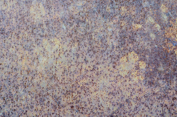texture of rusty metal on the whole frame