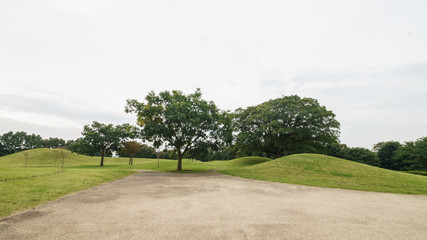 秋の草刈古墳群の風景