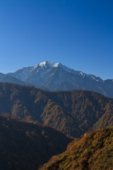 秋の樹海ラインからみた風景