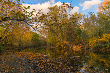 Fototapeta na wymiar Ramapo River In Autumn